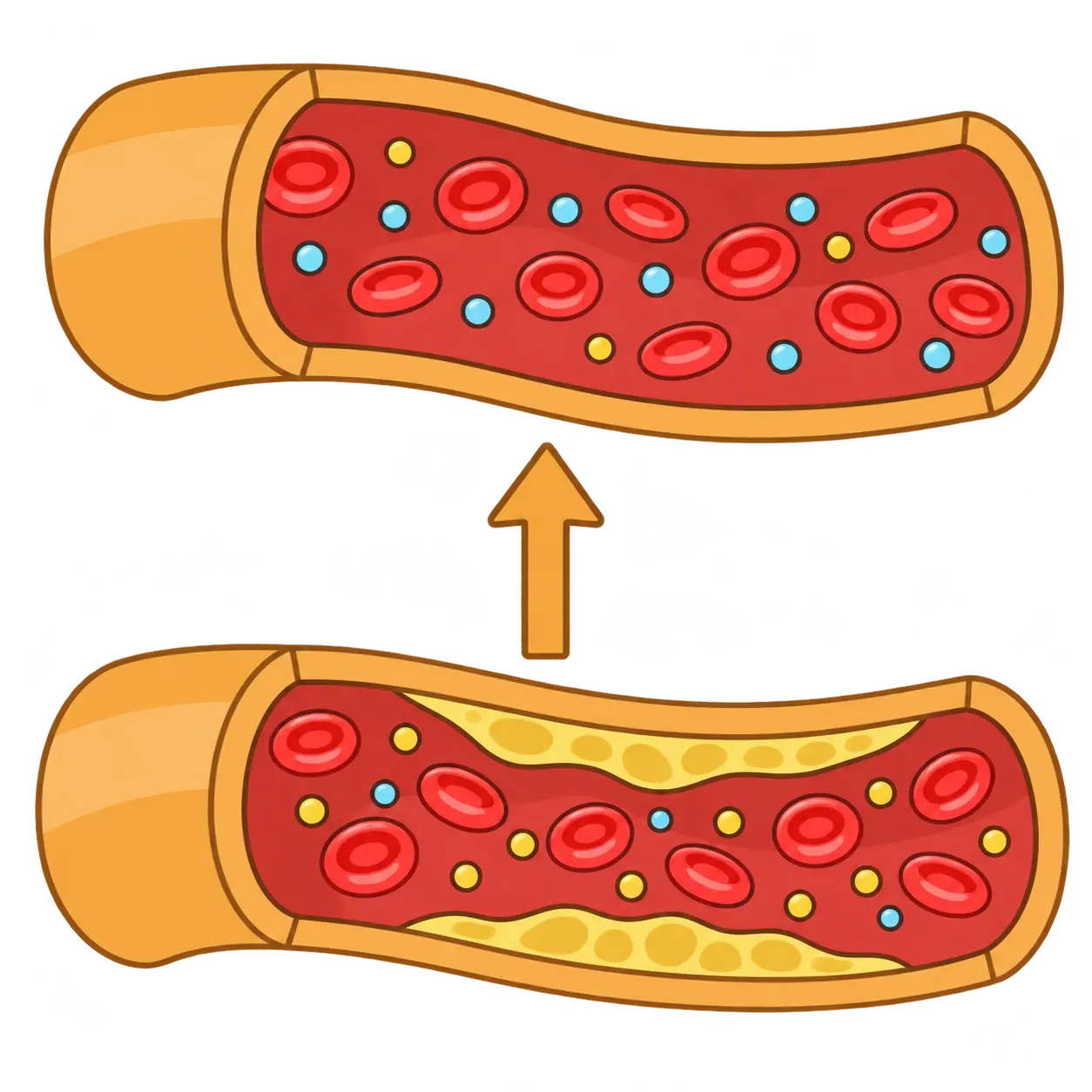 Heart health